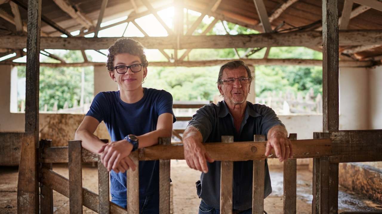 Artigo: Cinco dicas para iniciar o processo de profissionalização da sua propriedade rural