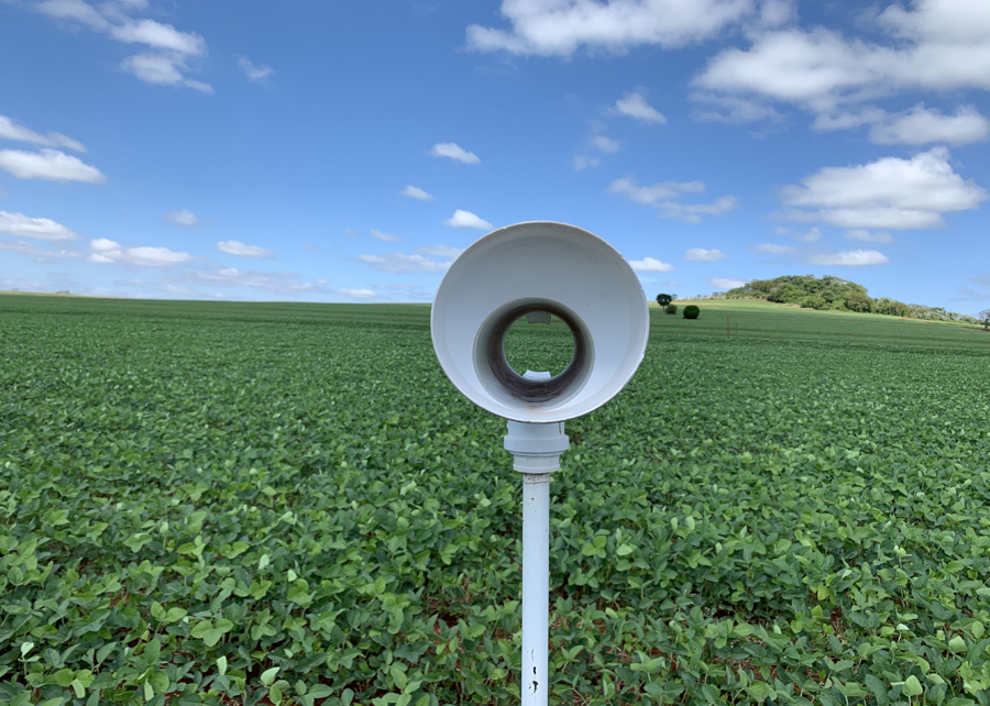 Tecnologia emite alertas do avanço de doenças do algodão e da soja