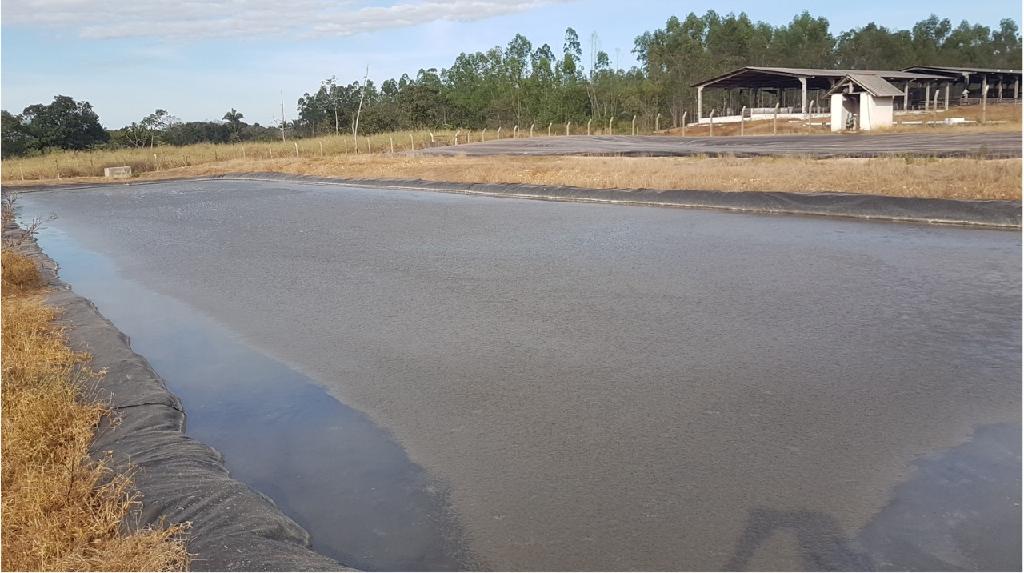 Produto feito a partir de esgoto facilita absorção de luz solar pelas plantas