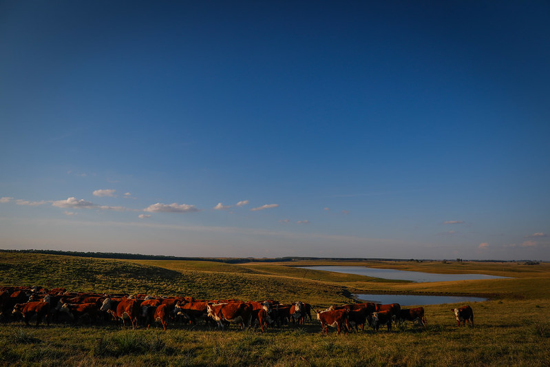 CNA vai inaugurar escritório em Dubai para promover agro brasileiro