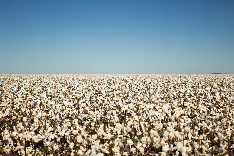 Ministério da Agricultura estima VBP de 2022 em R$ 1,2 trilhão