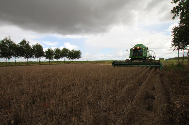 Artigo: Chuvas acima da média em Mato Grosso atrapalham a colheita da safra 21/22