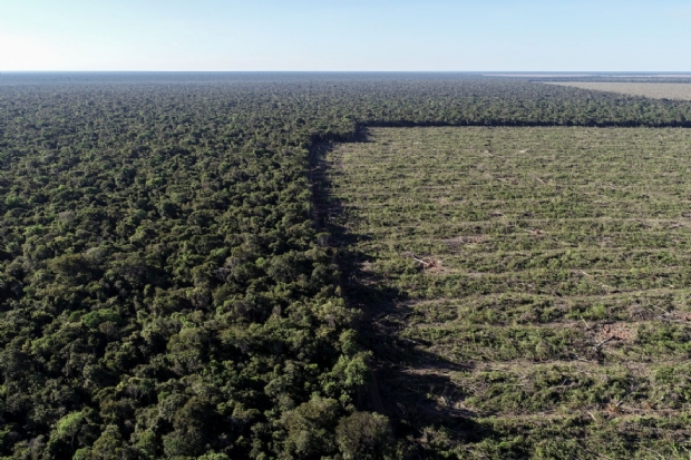 Plataforma estima risco de 15 km² de desmatamento na Amazônia em 22