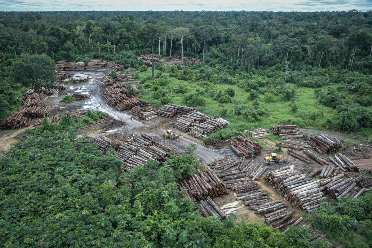 Em 2022, MT devastou área na Amazônia maior que São Paulo