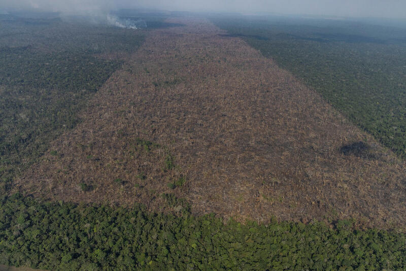 Desmatamento na Amazônia cresceu 56,6% entre 2018 e 2021