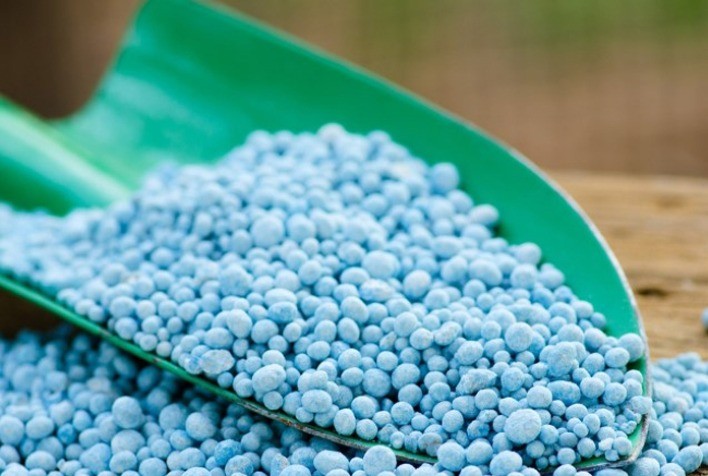 Preços de fertilizantes nitrogenados caem no início de 2022, diz Itaú BBA