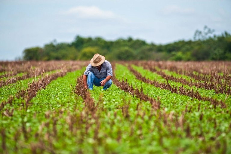 CNA pede urgência de recursos para garantir crédito rural subsidiado