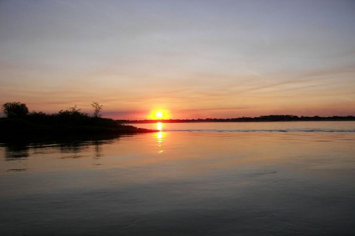 Estudo identifica áreas prioritárias para reflorestamento na Amazônia