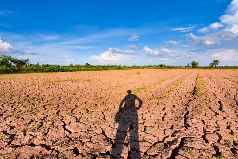 Questão climática faz indenização no campo aumentar 49% no outono