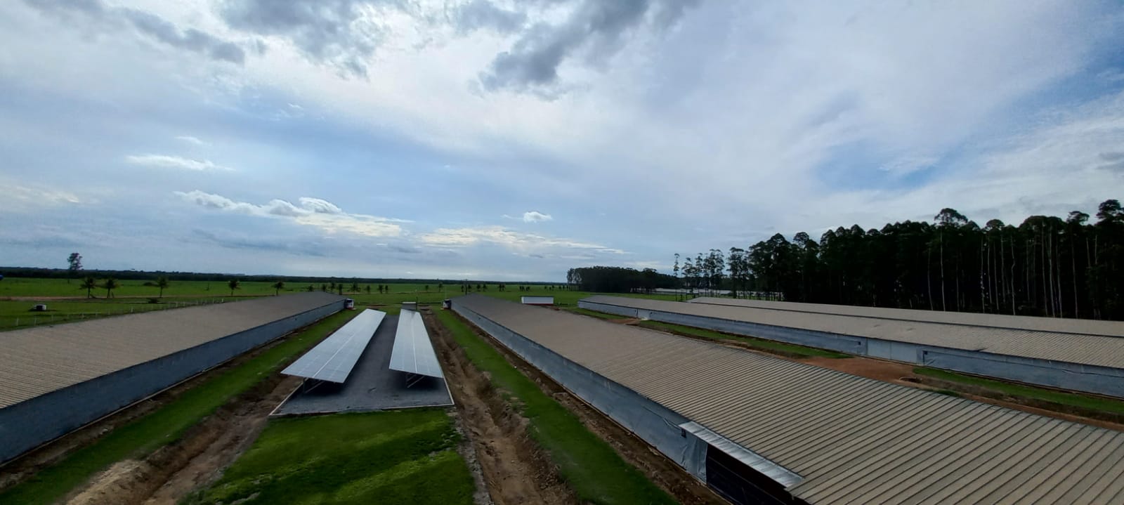 Produtores falam dos benefícios de ter energia solar em suas fazendas