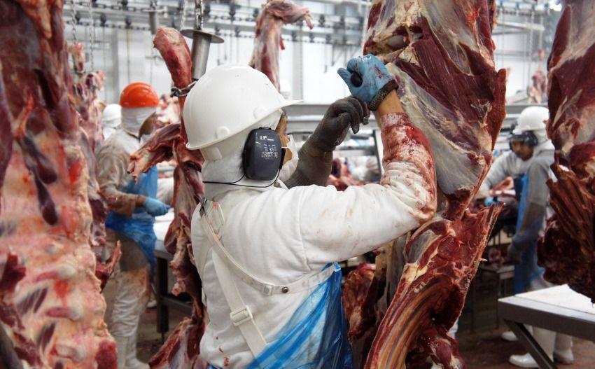 Rússia retoma importação da carne bovina brasileira de frigoríficos de MT