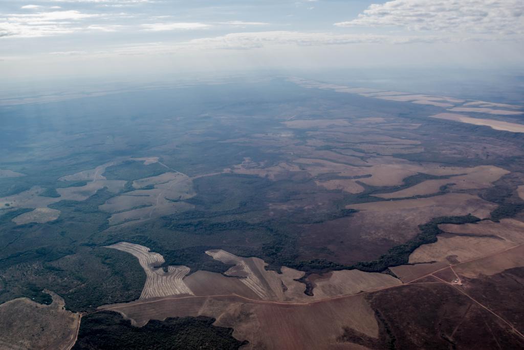 Retirada de Mato Grosso da Amazônia Legal recebe críticas