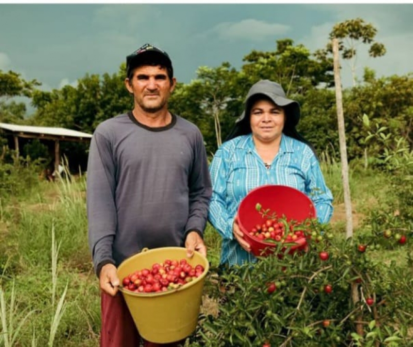 Programa REM muda realidade de agricultores familiares no norte de Mato Grosso