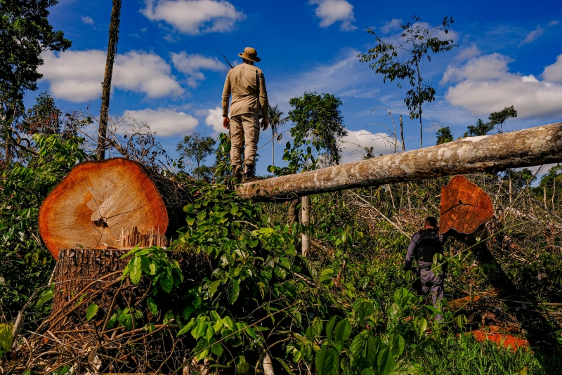 Ameaça ao agro: sudeste amazônico concentra 40% do CO2 que deveria ser liberado até 2100