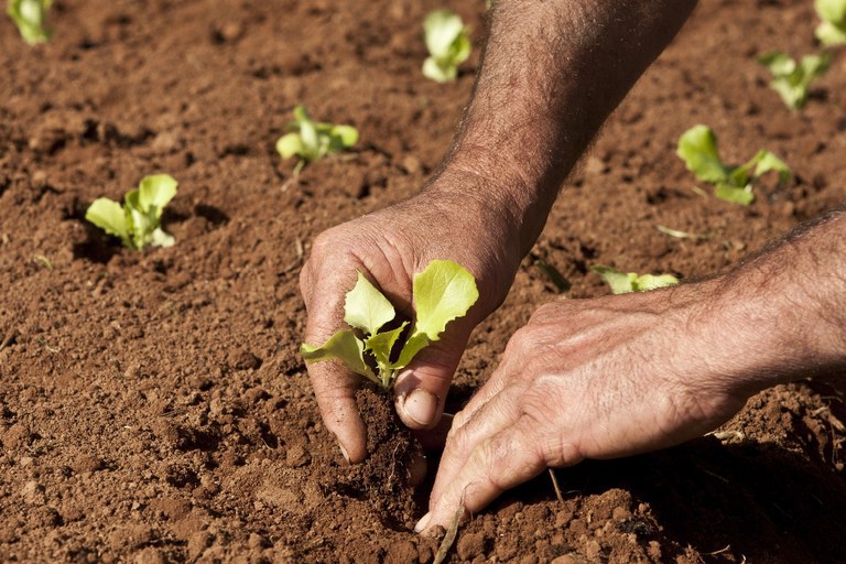 Contratação de crédito rural cresce 30% em 8 meses de 2021/22