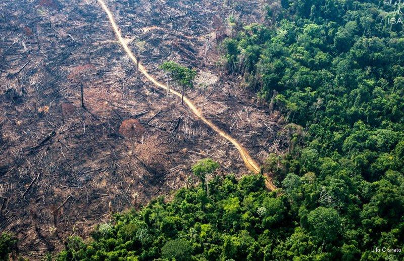 MT lidera número de alertas de desmate na Amazônia em fevereiro