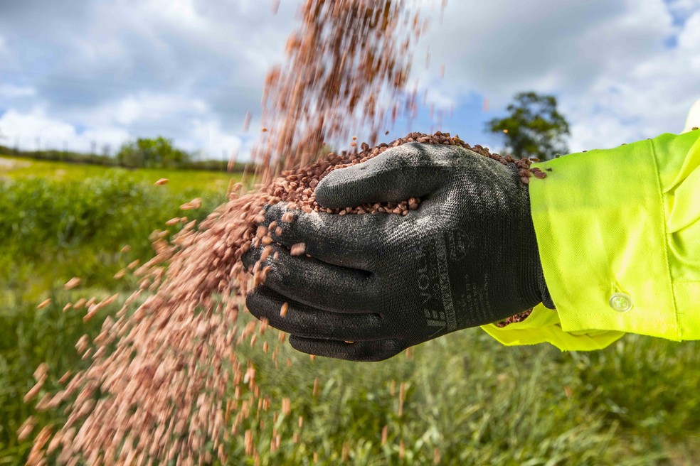 Plano Nacional de Fertilizantes deve ser lançado até dia 17, diz ministra