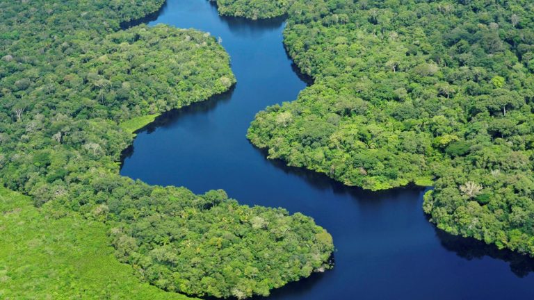 Amazônia terá sistema de dados sobre gases de efeito estufa com livre acesso