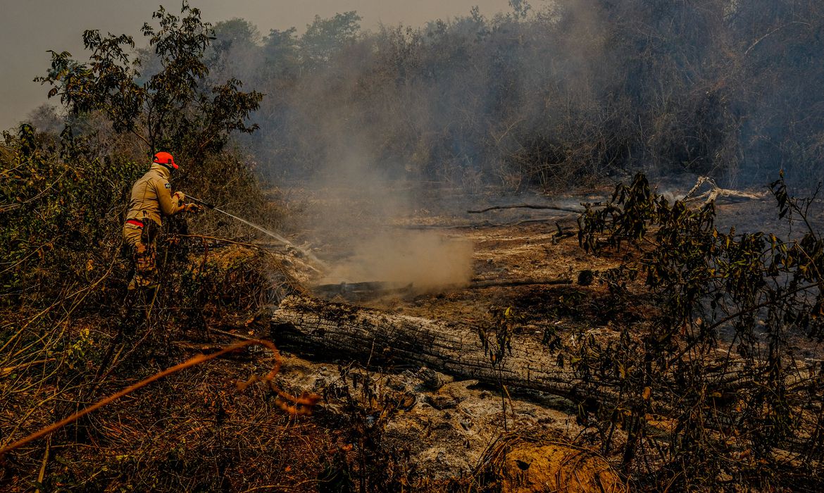 Área queimada aumentou 410% em fevereiro, aponta Monitor do Fogo