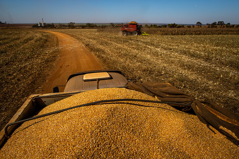 Conab indica produção de 265,70 milhões de t para safra 2021/22