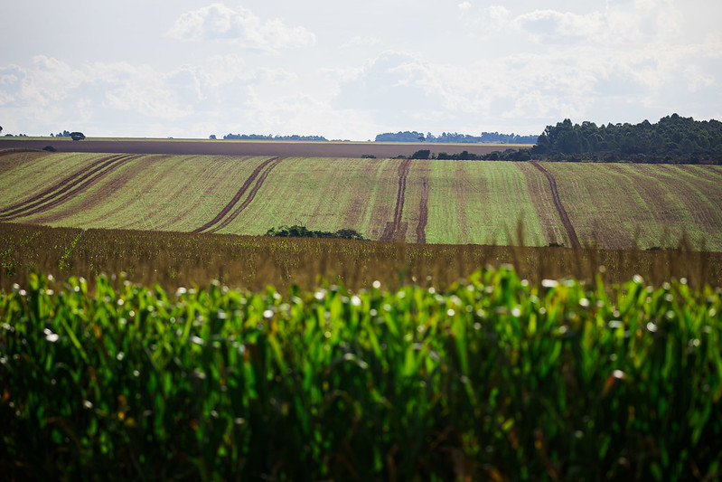 Ipea reduz projeção de alta para PIB Agropecuário de 2,8% para 1% em 22