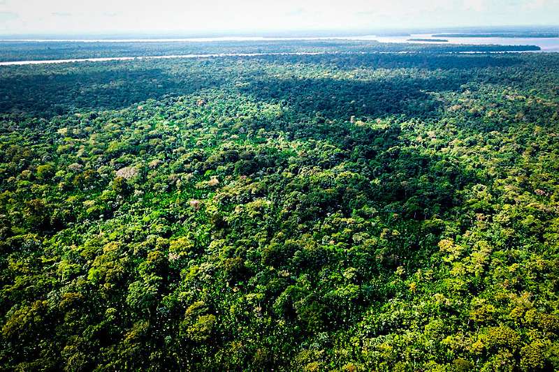 Aumenta movimento contra retirada de MT da Amazônia Legal