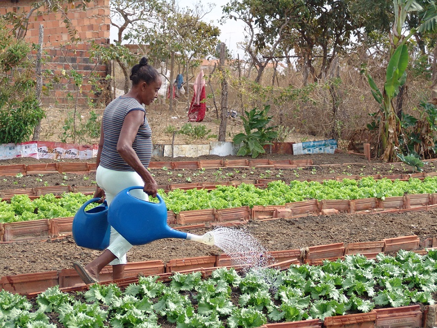 No campo, mulheres perdem mais por causa da crise climática