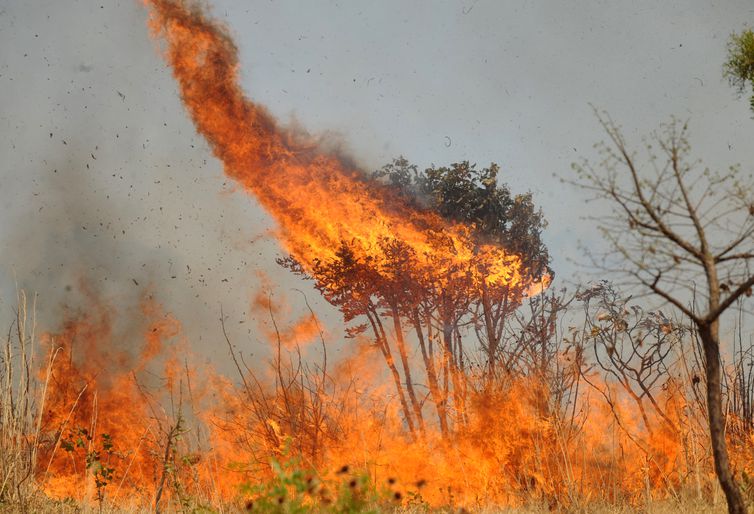 MT tem 16 municípios entre os 40 que sofrem maior impacto do fogo no País