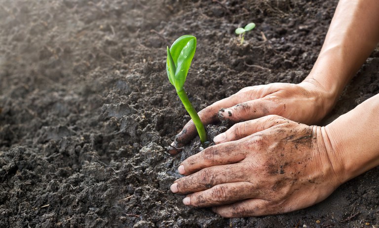 Agro terá R$ 40 mi para desenvolvimento de projetos tecnológicos