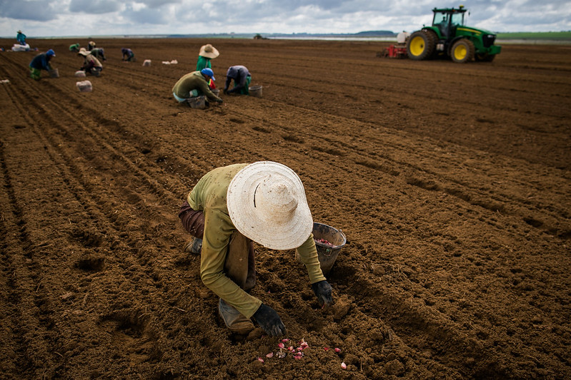 População ocupada no agronegócio atinge maior contingente desde 2016