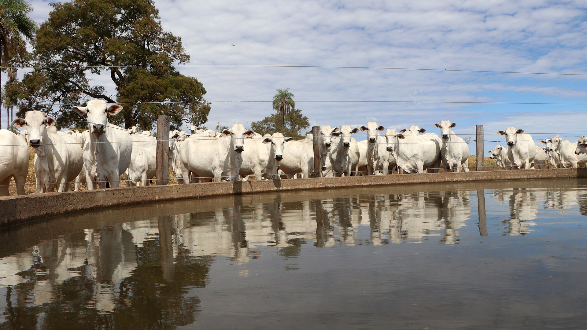 Produtores rurais são remunerados por conservação ambiental