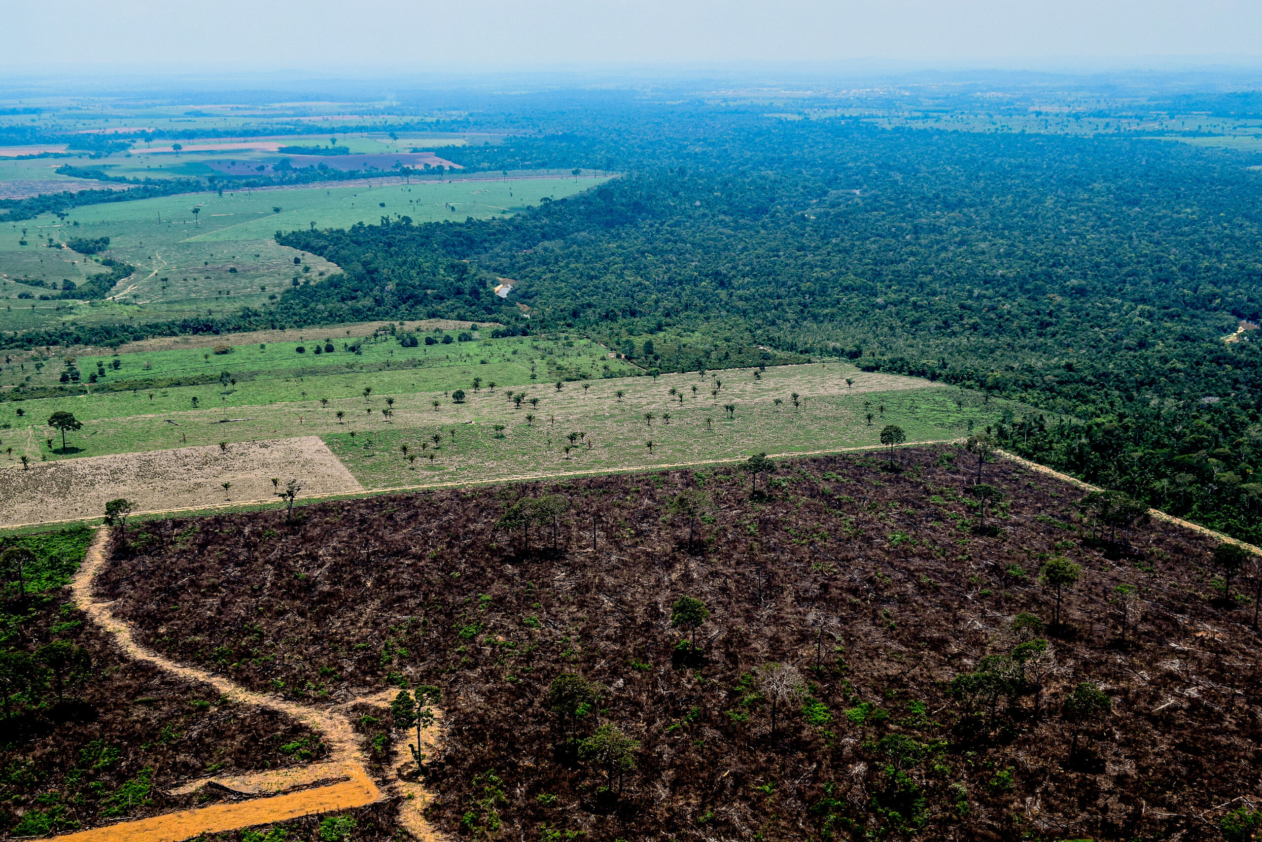 Governo estuda ampliar faixa de fronteira na Amazônia Legal