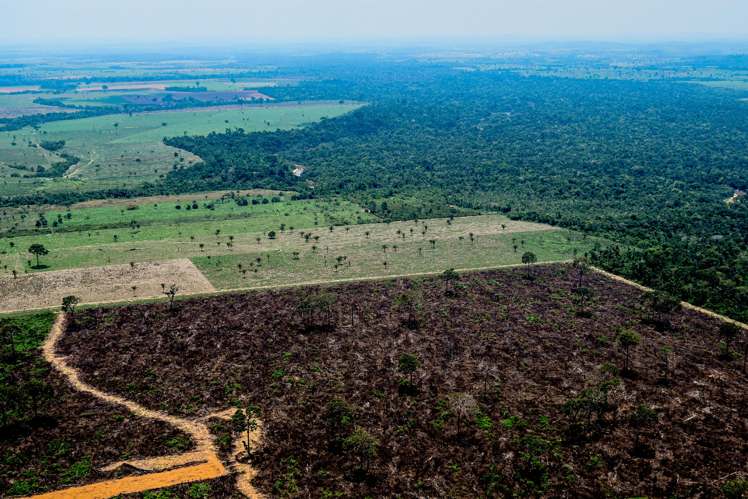 Militares criaram perfis falsos para dar informação enganosa sobre Amazônia