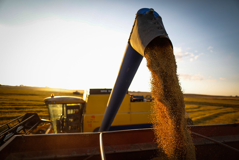 Alta do preço de fertilizantes e petróleo impactou agro, diz relatório