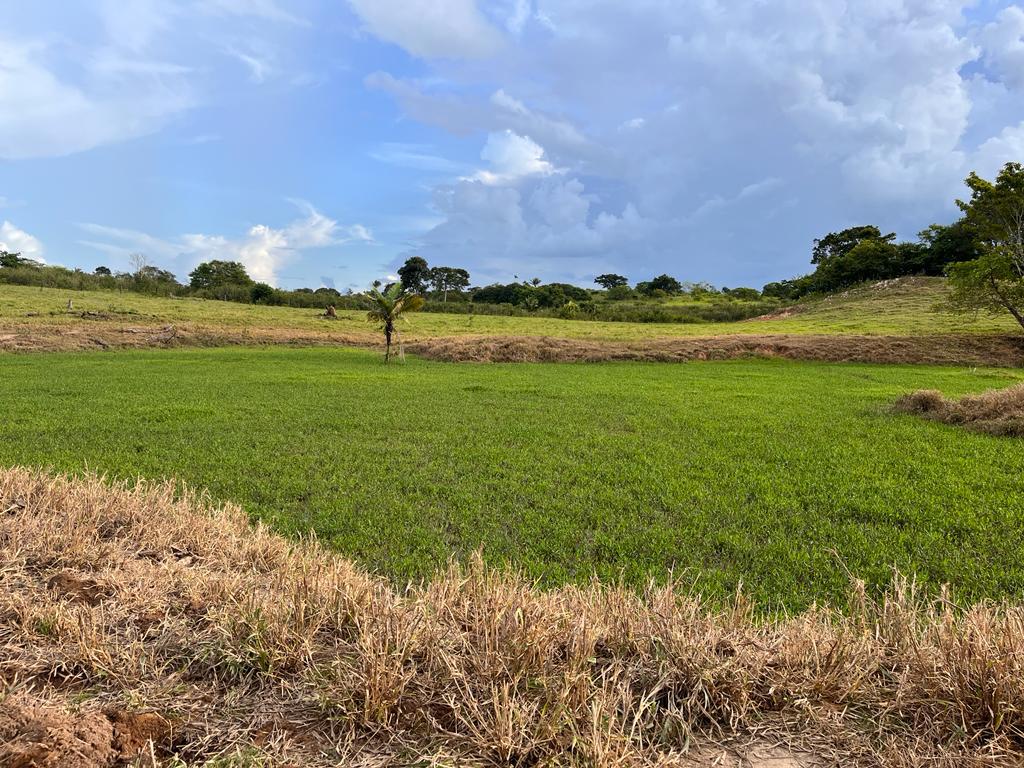 Pecuaristas mudam mentalidade e promovem restauração ecológica