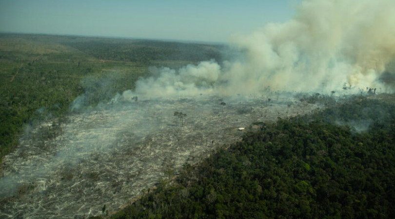 MT segue líder de desmatamento na Amazônia, diz Imazon