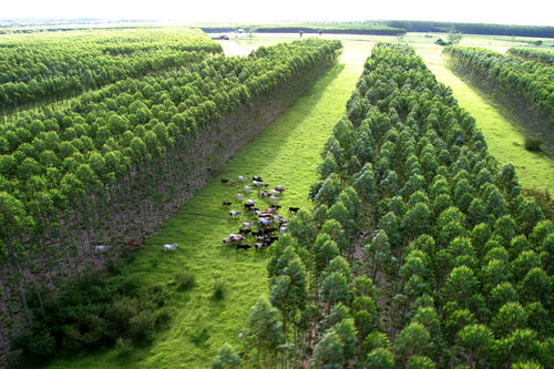 Relatório do clima é novo alerta contra ameaças ao agronegócio