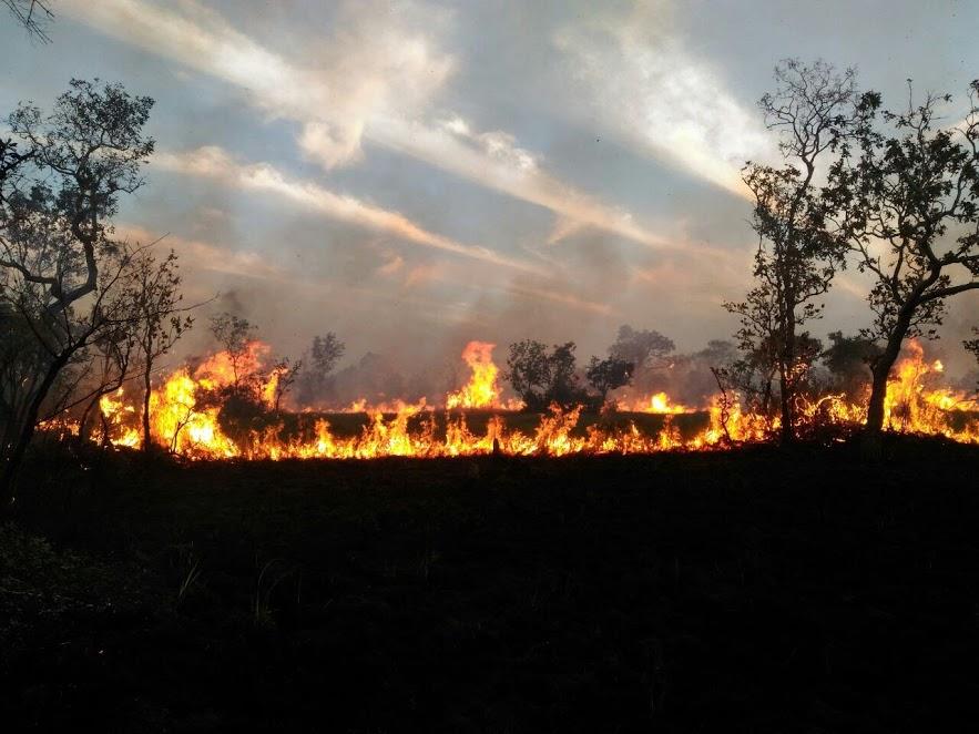 Uso de fogo está proibido em MT a partir de 1º de julho