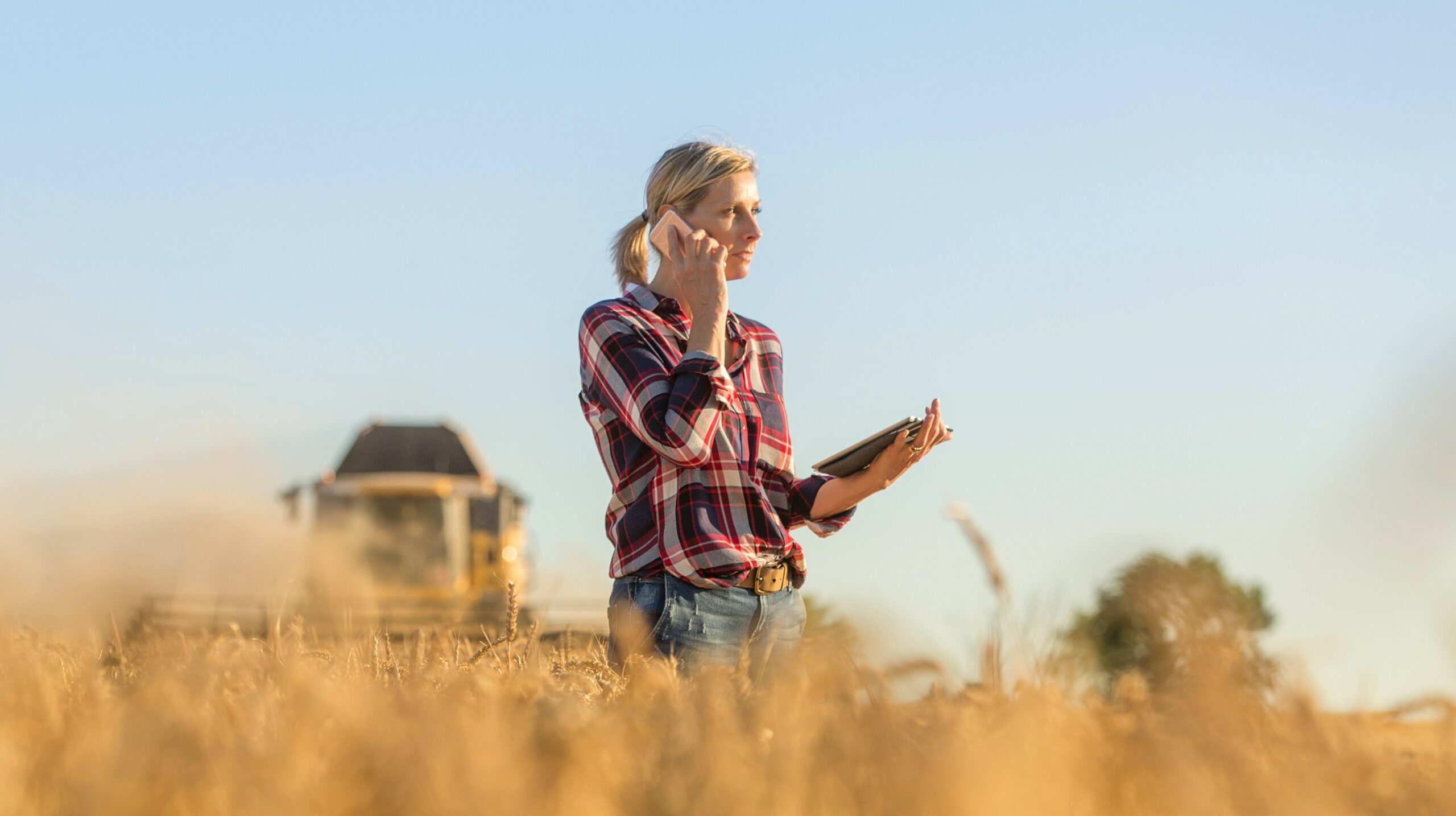 Artigo: Os desafios ocultos da liderança feminina no agro