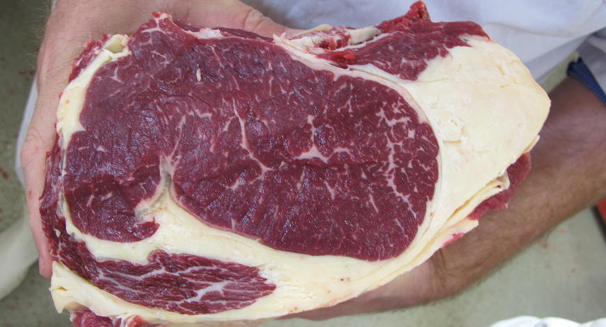 O que o Canadá espera do Brasil com exportação de carnes, segundo Acrimat