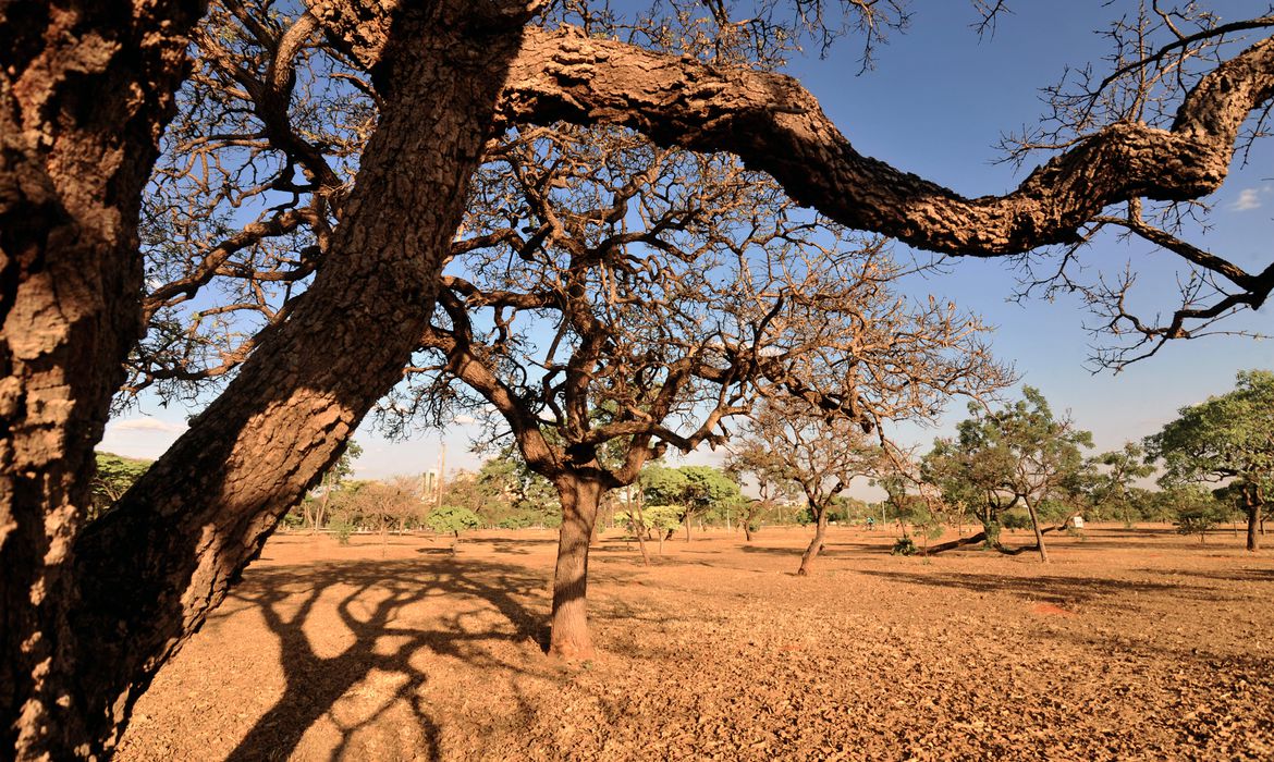 Extremos climáticos geram perdas de R$ 287 bi no agro brasileiro