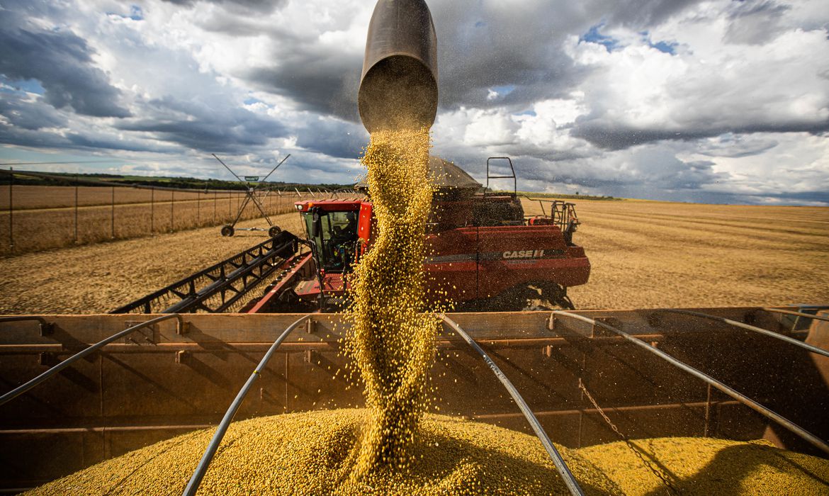 Anec eleva previsão de exportação de soja e de milho em abril