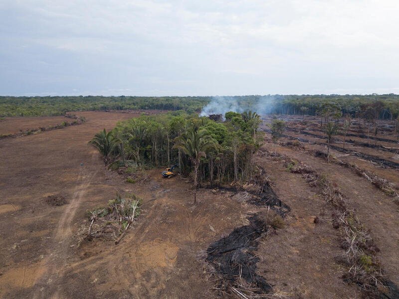 Desmate na Amazônia chega a mais de mil km² e bate novo recorde