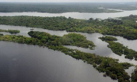 Empresas e entidades do agro brasileiro pedem aos EUA aval a fundo de US$ 9 bi para florestas