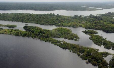 COP28: França e Reino Unido anunciam verba para a Amazônia