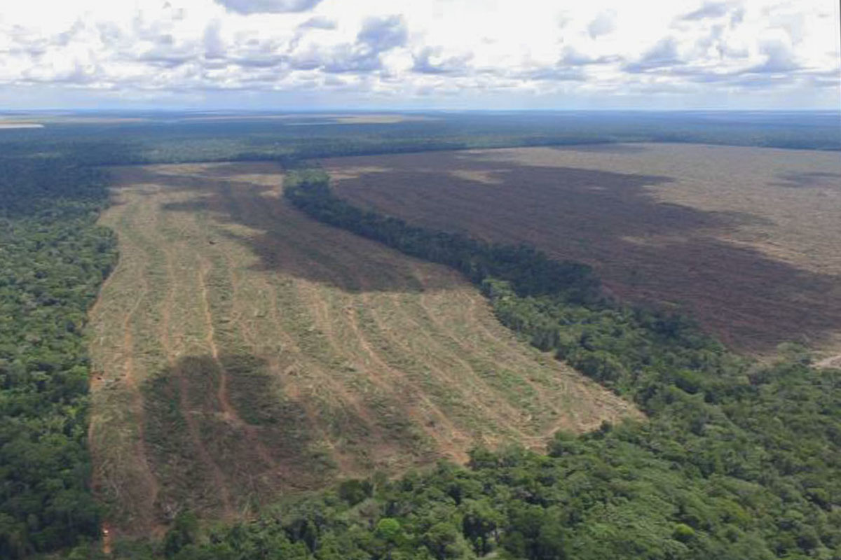 Com apenas 0,43% de CAR validado, Brasil oficializa grilagem de terras públicas