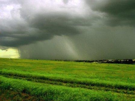 Seguro do INMET pode auxiliar agricultor a avaliar risco climático