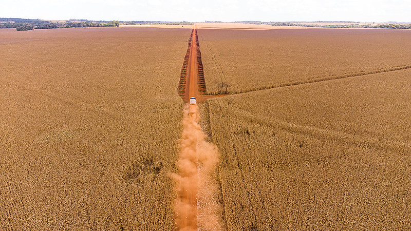 Aprosoja-MT estima perda irreversível de 4 milhões de toneladas na safra de milho