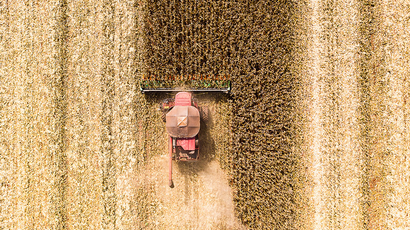 MT precisou de 23 sacas a mais de milho para pagar custo de hectare