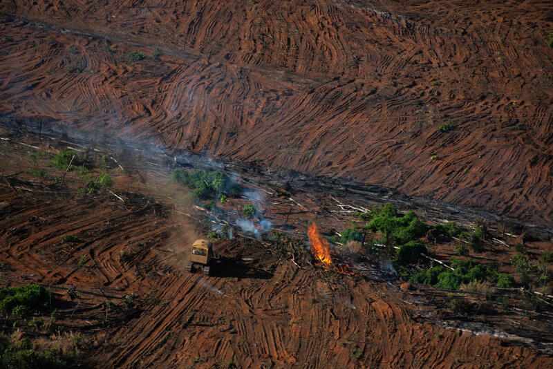 Desmatamento da Amazônia cresce 54% e MT lidera derrubada